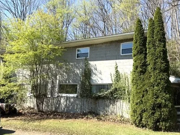 709 Coleman Rd, Covington, VA 24426