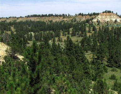 Nhn Welch Road Rd, Miles City, MT, 59301