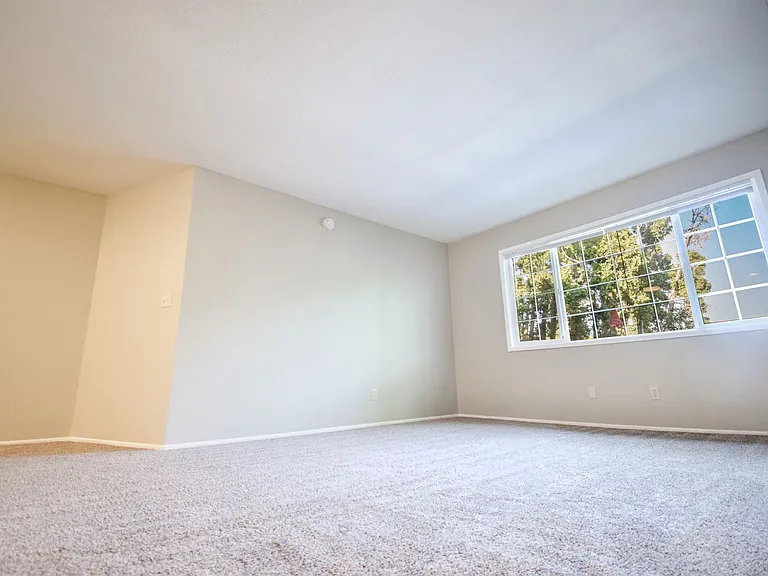Allendale ALL12870 — Photo 10