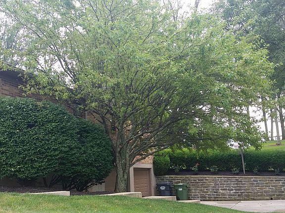 2nd image of 729 Aylor Ln