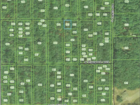 0 Ferris Ave, Bitely, MI 49309