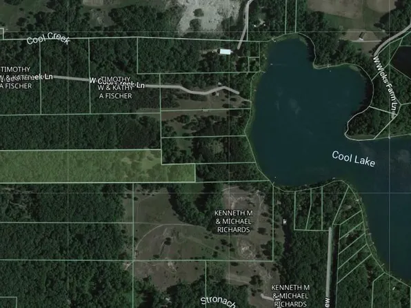 Vl Par 9 N Bass Lake Rd, Irons, MI 49644