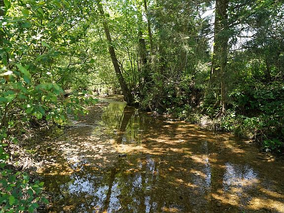 89th image of this home