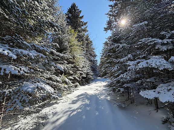 4th image of M5 Lot 1&3 East Road