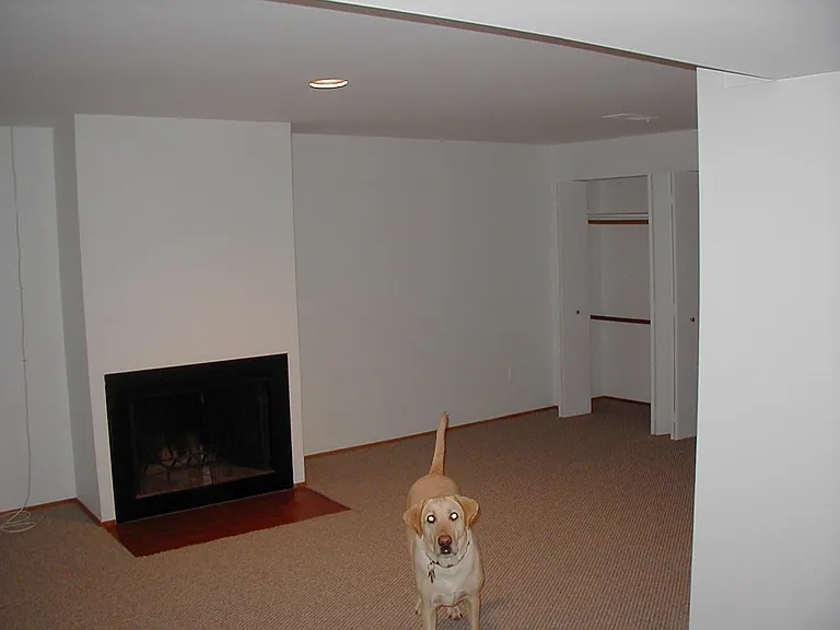 1424 Q St NW #1 — Photo 11