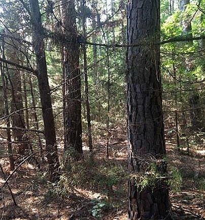 2nd image of 30.08 Acres Cres #3109