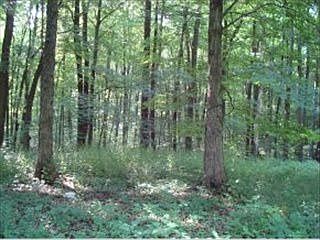 5th image of 13692 E Woodview Hills Ln