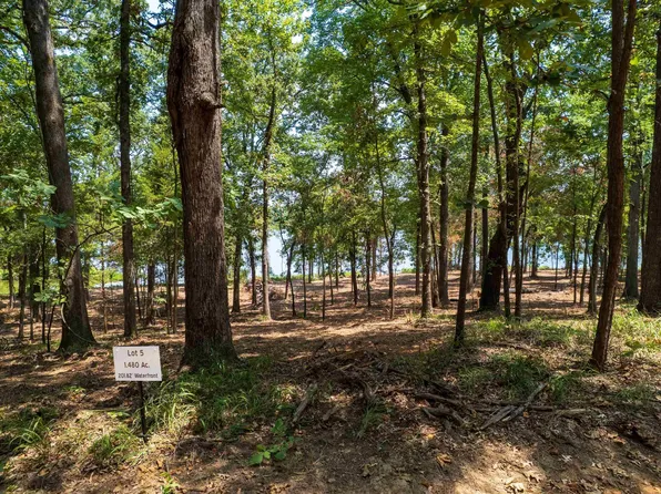 5 Big Oaks, Leesburg, TX 75451