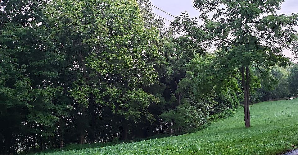 2nd image of 2613 Tebbs Bend Rd