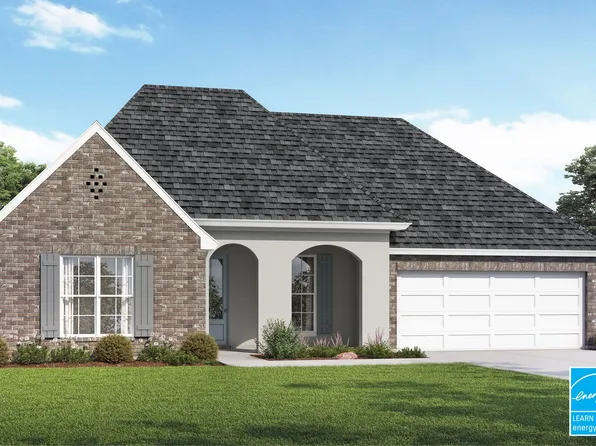 Owen Plan, Camellia Farms