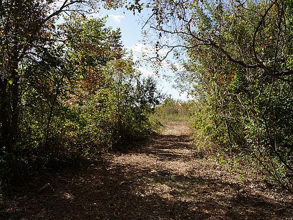 trail to the back of the ten acres