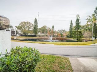 3428 Hunters Run Ln, Tampa, FL 33614