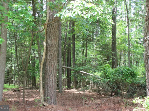 871 Broadside Dr, Greenbackville, VA 23356