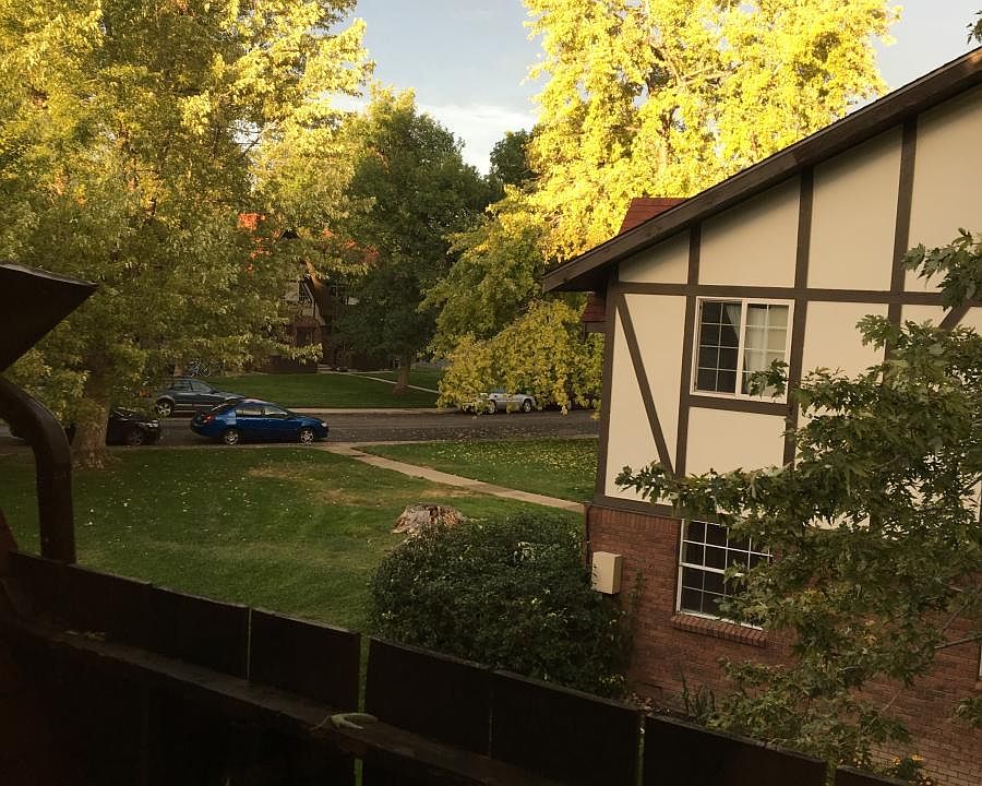 Fall View Off the Deck