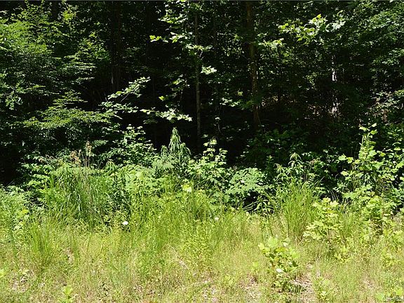 4th image of 14 Timber Park Dr