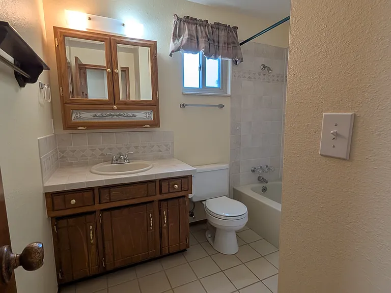 Hall bathroom