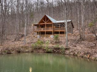 442 N Burgess Gap Rd, Blue Ridge, GA 30513