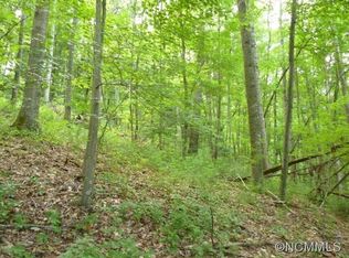 232 Patton Mountain Rd, Asheville, NC 28804