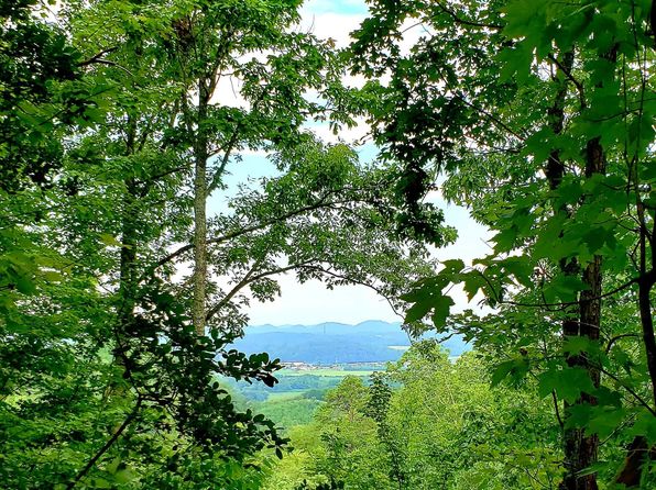 Mountain View Tellico Plains Real Estate 38 Homes For Sale Zillow