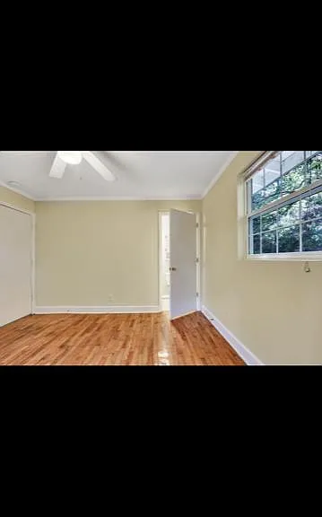 1333 French Rd — Photo 5