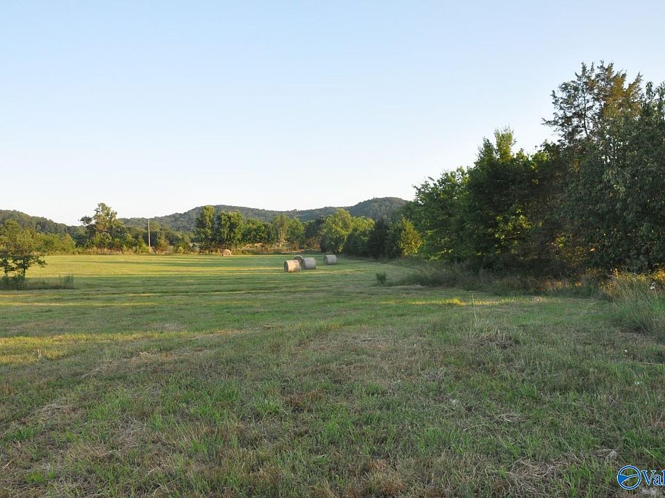 1st image of County Road 203