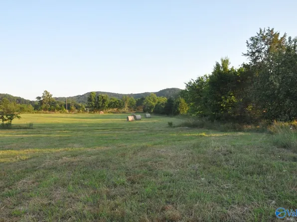 County Road 203, Danville, AL 35619
