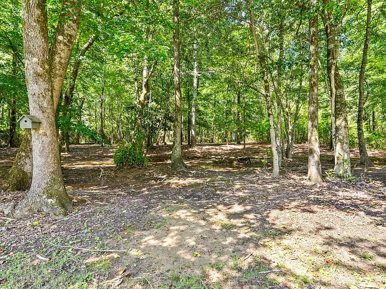 4264 Live Oak Dr — Photo 22