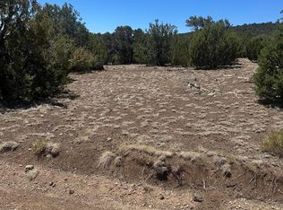 3 County Rd, Vernon, AZ 85940