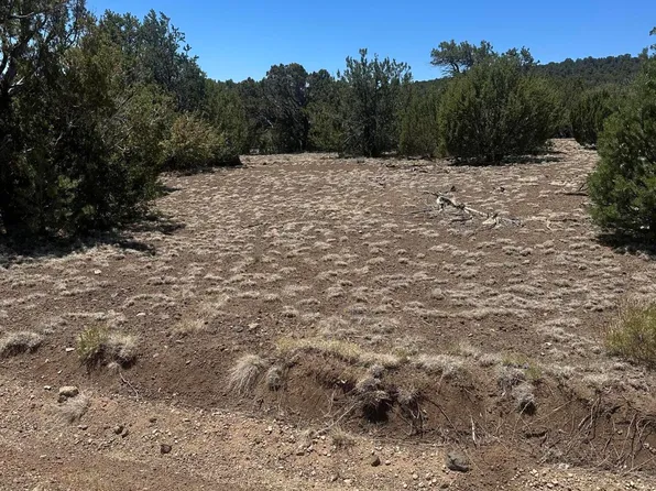 3 County Rd, Vernon, AZ 85940