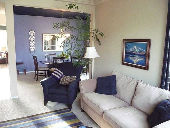 View from Living Room