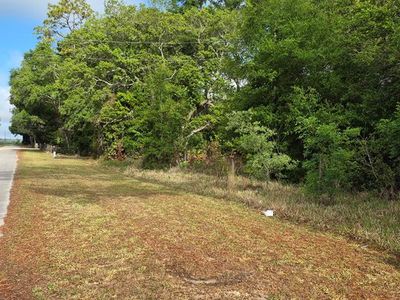 9351 NW 120th St, Chiefland, FL, 32626