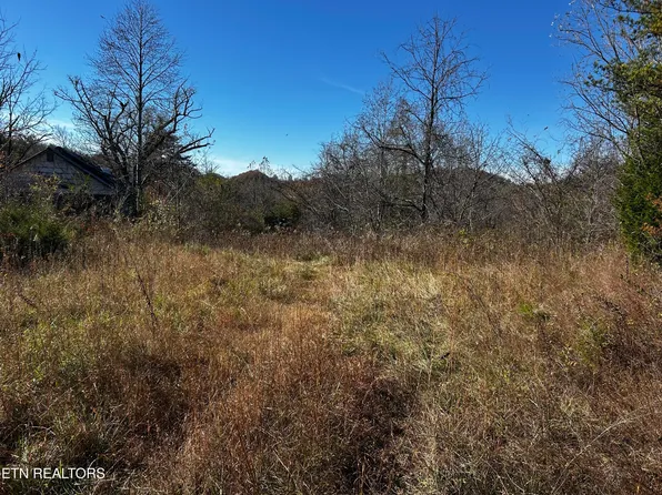 Shadden Rd Lot 1, Tellico Plains, TN 37385