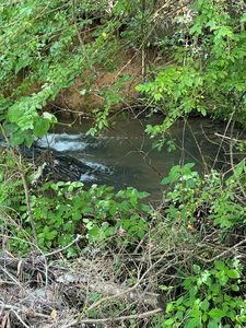 42.79 Hiwassee Dam Access Rd, Murphy, NC, 28906