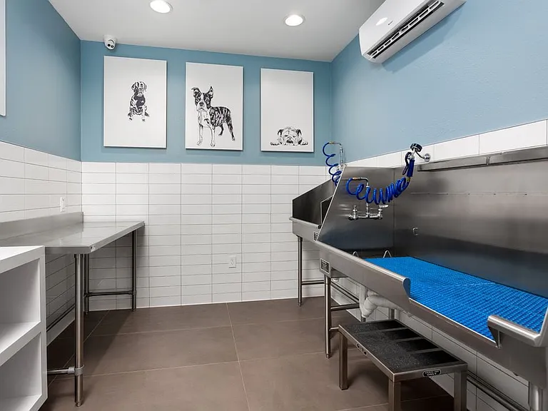 WAG Pet Spa