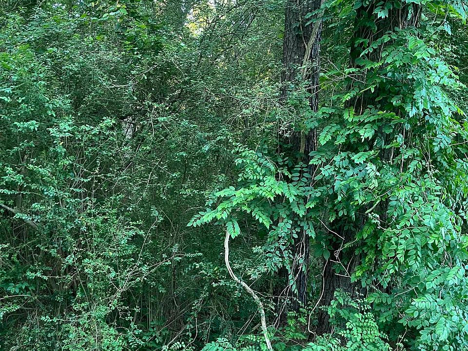 1st image of LOT 34 Tanglewood Dr #Ii