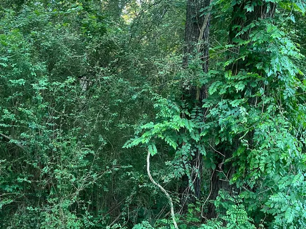 LOT 33 Tanglewood Dr #Ii, Monticello, AR 71655