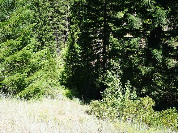 5th image of 2500 Big Creek Rd