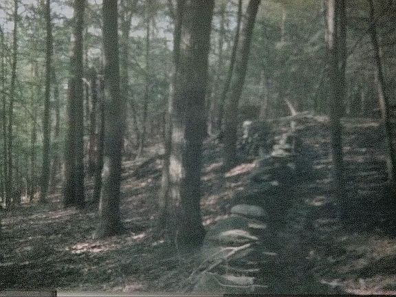 3rd image of 8 Blackberry Ln