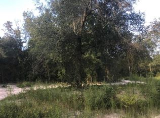 1174 SW Grape St, Lake City, FL 32024
