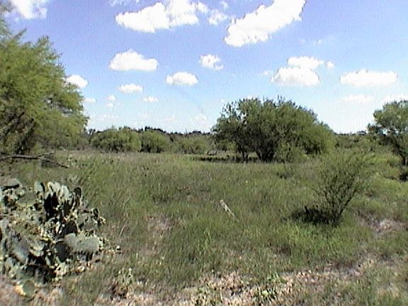 5th image of 6912 Fm 2438