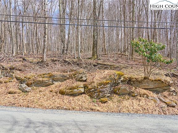 5th image of 217 Overbrook Trail
