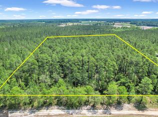 0 Brantley Ave S, Hoboken, GA 31542