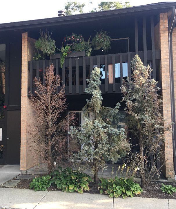 1st image of 6147 Knollwood Dr #10-202