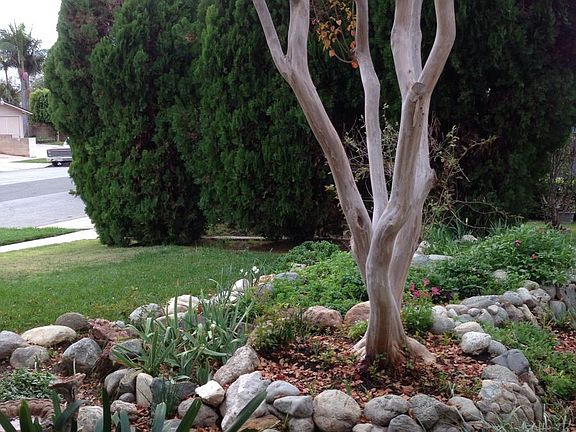 BEAUTIFULLY LANDSCAPED