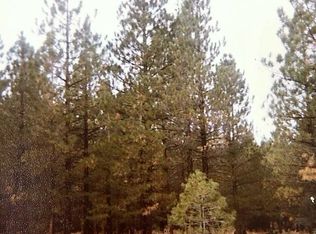 Rainier Rd, California Pines, CA 96101