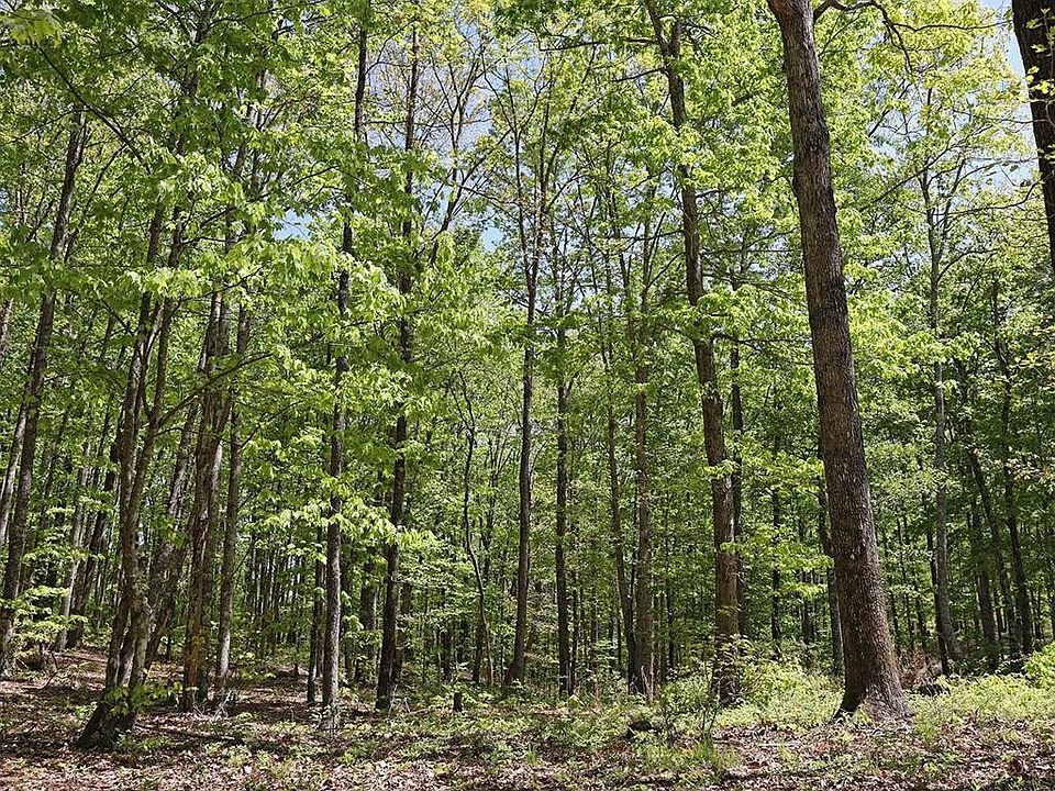 1st image of 18 Grouse Ridge Rd