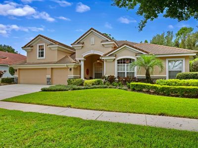 17914 Arbor Haven Dr, Tampa, FL, 33647