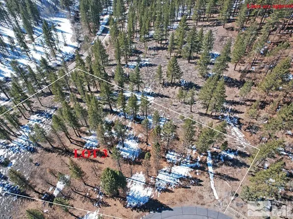 LOT 3 Raymond View Rd, Markleeville, CA 96120
