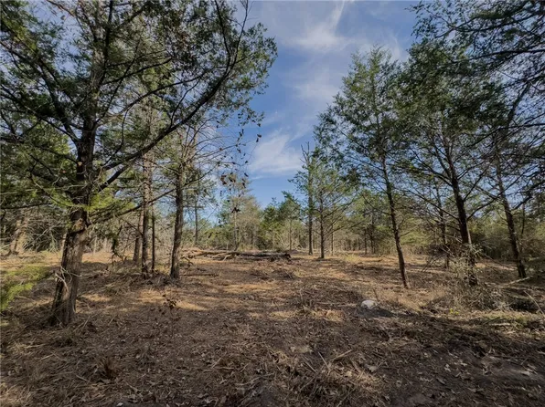 LOT 92 Lois Lane St, Somerville, TX 77879