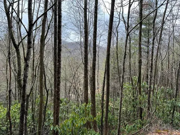 16 Stillwind Dr, Topton, NC 28781